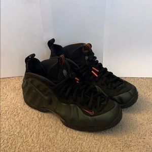 Nike Air Foamposite Pro Sequoia